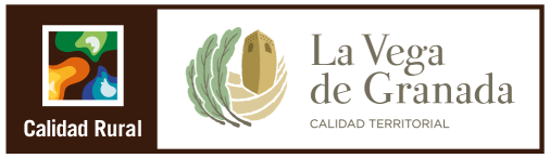 Logo premio fisioterapia valenzuelav